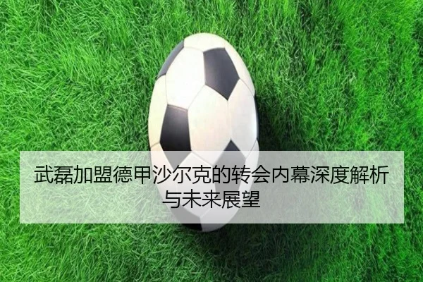 武磊加盟德甲沙尔克的转会内幕深度解析与未来展望