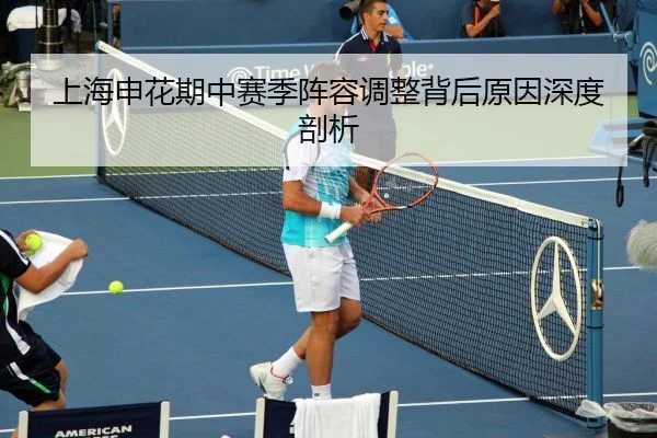 上海申花期中赛季阵容调整背后原因深度剖析